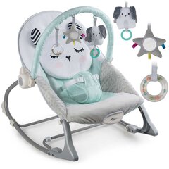 Lamamistool vibratsiooniga Ricokids, Mint hind ja info | Beebi lamamistoolid | kaup24.ee