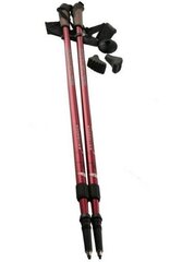 Палки для скандинавской ходьбы Nordic Walking Nils Extreme NW802 цена и информация | Палки для ходьбы | kaup24.ee