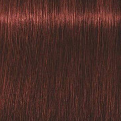 Краска для волос Schwarzkopf Professional Igora Royal Absolutes 60 мл, 5-80 Light Brown Red Nature цена и информация | Краска для волос | kaup24.ee