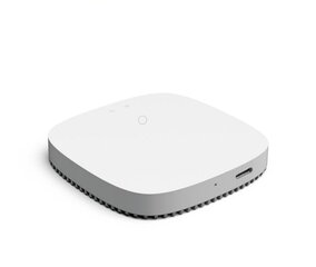 Gise WiFi gateway Zigbee Tuya GGT-ZB цена и информация | Системы безопасности, контроллеры | kaup24.ee