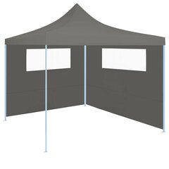 3070415 Gazebo 590 x 200 cm Antratsiit aknaga külgsein (315304) hind ja info | Varikatused ja aiapaviljonid | kaup24.ee