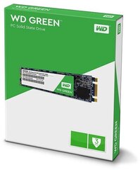 Ketas SSD WD Green 240GB M.2 2280 SATA3 (WDS240G2G0B) hind ja info | Sisemised kõvakettad (HDD, SSD, Hybrid) | kaup24.ee