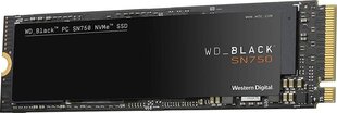 Western Digital WDS100T3XHC цена и информация | Внутренние жёсткие диски (HDD, SSD, Hybrid) | kaup24.ee