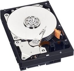 Western Digital WD Blue 1TB 5400RPM SATA3 64MB (WD10EZRZ) hind ja info | Sisemised kõvakettad (HDD, SSD, Hybrid) | kaup24.ee