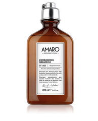 Шампунь Amaro Energizing Farmavita (250 мл) цена и информация | Шампуни | kaup24.ee