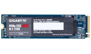 Gigabyte GP-GSM2NE3256GNTD hind ja info | Sisemised kõvakettad (HDD, SSD, Hybrid) | kaup24.ee