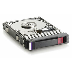 Жесткий диск HPE ‎J9F43A 6 TB цена и информация | Внутренние жёсткие диски (HDD, SSD, Hybrid) | kaup24.ee