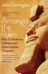 Amongst the Ruins: Why Civilizations Collapse and Communities Disappear цена и информация | Исторические книги | kaup24.ee