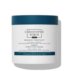 Маска Christophe Robin Purifying Mud, 250 мл цена и информация | Маски, масла, сыворотки | kaup24.ee