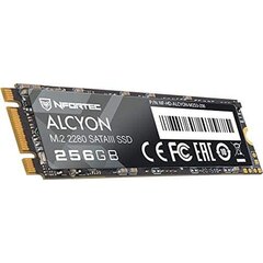 Жесткий диск Nfortec Alcyon M.2 SSD SATAIII цена и информация | Внутренние жёсткие диски (HDD, SSD, Hybrid) | kaup24.ee