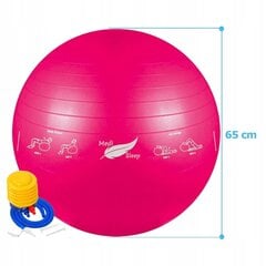 Розовый гимнастический мяч для упражнений 65 см с ножным насосом - Medi Sleep цена и информация | Гимнастические мячи | kaup24.ee