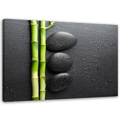 Seinapilt Bambus ja kivid mustal taustal цена и информация | Картины, живопись | kaup24.ee