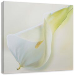 Seinapilt Valge lill kollase kirjaga цена и информация | Картины, живопись | kaup24.ee
