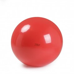 Мяч Physio Gymnic 120 см цена и информация | Гимнастические мячи | kaup24.ee
