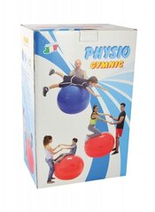 Physio Gymnic мяч 85 см цена и информация | Гимнастические мячи | kaup24.ee