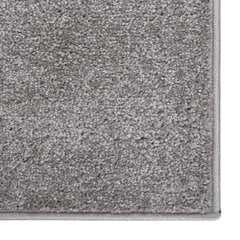 vaip, lühike narmas, 240 x 340 cm, hall цена и информация | Ковры | kaup24.ee