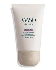 Отшелушивающая маска для лица Shiseido Waso Satocane, 80 мл цена и информация | Маски для лица, патчи для глаз | kaup24.ee