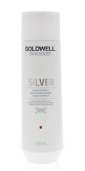 Goldwell Dualsenses Silver Shampoo 250ml цена и информация | Шампуни | kaup24.ee