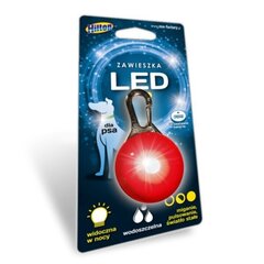 LED ripats koertele Hilton, 5,3x3 cm hind ja info | Kaelarihmad ja traksid koertele | kaup24.ee