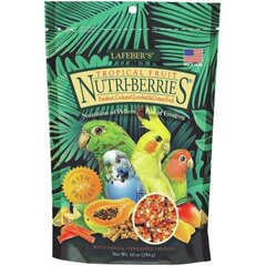 Nutri-Berries Tropical Fruit toit väikestele ja keskmistele papagoidele, 284 g hind ja info | Eksootiliste loomade toit | kaup24.ee