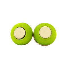 Naiste kõrvarõngad, heleroheline/kuldne hind ja info | Kõrvarõngad | kaup24.ee