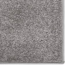 vaip, lühike narmas, 80 x 150 cm, hall цена и информация | Ковры | kaup24.ee