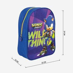 Детский рюкзак Sonic, синий цена и информация | Школьные рюкзаки, спортивные сумки | kaup24.ee