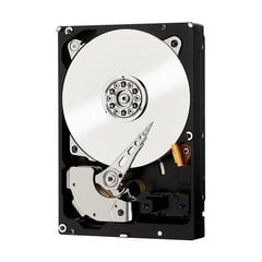 Western Digital Black 6TB, SATA/600 (WD6003FZBX) hind ja info | Sisemised kõvakettad (HDD, SSD, Hybrid) | kaup24.ee