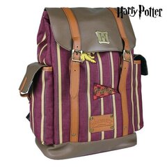 Vaba aja seljakott Harry Potter hind ja info | Koolikotid, sussikotid | kaup24.ee