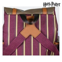 Рюкзак для досуга Harry Potter цена и информация | Школьные рюкзаки, спортивные сумки | kaup24.ee