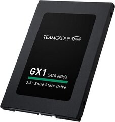 Team Group T253X1240G0C101 цена и информация | Внутренние жёсткие диски (HDD, SSD, Hybrid) | kaup24.ee