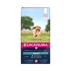 Сухой корм для собак - Eukanuba Adult Small and Medium Salmon, 12 кг цена и информация | Сухой корм для собак | kaup24.ee