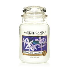 Ароматическая свеча Yankee Candle Large Jar Midnight Jasmine 623 г цена и информация | Свечи, подсвечники | kaup24.ee