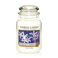Lõhnaküünal Yankee Candle Large Jar Midnight Jasmine 623 g