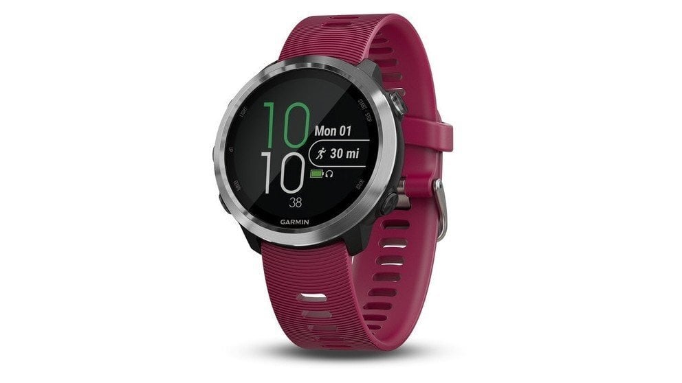 Garmin Forerunner® 645 Music Cerise цена и информация | Nutikellad (smartwatch) | kaup24.ee