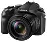 Panasonic DMC-FZ2000EP hind ja info | Fotoaparaadid | kaup24.ee