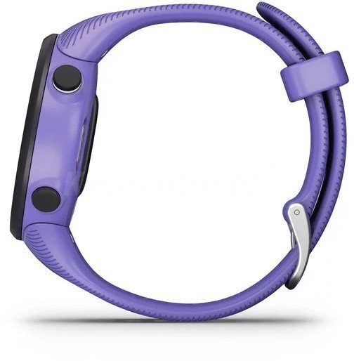 Garmin Forerunner® 45S Iris hind ja info | Nutikellad (smartwatch) | kaup24.ee