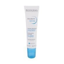 Toitev huulepalsam Bioderma Atoderm Levres 15 ml цена и информация | Помады, бальзамы, блеск для губ | kaup24.ee