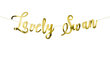 Lipuvanik Lovely Swan, kuldne, 64x21,3 cm, 1 karp/50 pakki (1 pakk/1 tk) hind ja info | Peokaunistused | kaup24.ee