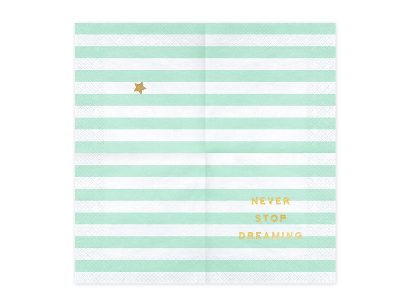 Pabersalvrätid Yummy "Never stop dreaming", münt, 33x33 cm, 1 karp/12 tk (1 pakk/20 tk) цена и информация | Ühekordsed nõud | kaup24.ee