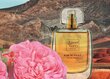 Naturaalne parfüümvesi L'Essence des Notes "Rose de Kelaâ", 50ml цена и информация | Naiste parfüümid | kaup24.ee