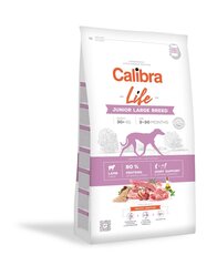 Calibra Life suurtest tõugudest noortele koertele lambalihaga, 12 kg hind ja info | Kuivtoit koertele | kaup24.ee