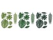 Paberkaunistused Aloha Tropical Leaves Mix, 1 pk/21 tk цена и информация | Peokaunistused | kaup24.ee