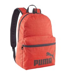 Seljakott Puma Phase Backpack 090118*02, oranž hind ja info | Koolikotid, sussikotid | kaup24.ee