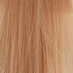 Juuksevärv L'Oreal Professionnel Inoa 60 g,10 1/2.22 Lightest Pale Deep Iridescent Blonde цена и информация | Краска для волос | kaup24.ee