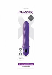 Вибратор Classix Grape Swirl Massager, фиолетовый цена и информация | Вибраторы | kaup24.ee