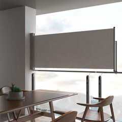 lahtitõmmatav terrassi külgsein, 100 x 300 cm, hall цена и информация | Зонты, маркизы, стойки | kaup24.ee