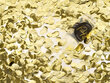 Konfett Push Pop, kuldne, 15 mm, 1 tk цена и информация | Peokaunistused | kaup24.ee