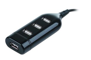 Gembird - Концентратор USB 2.0 4-портовый мини UHB-CT02 цена и информация | Адаптеры и USB-hub | kaup24.ee