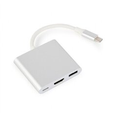 Cablexpert A-CM-HDMIF-02-SV цена и информация | Адаптеры и USB-hub | kaup24.ee